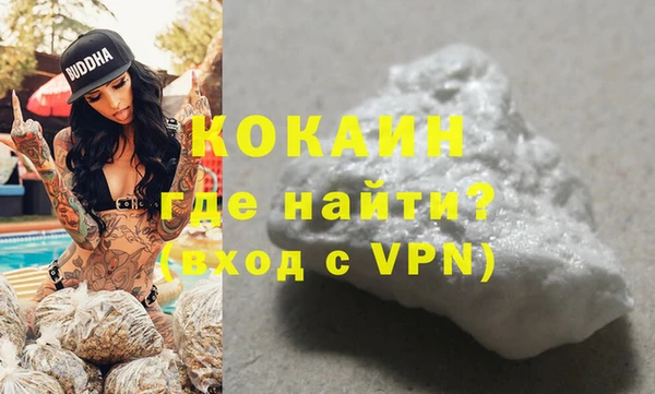 ПСИЛОЦИБИНОВЫЕ ГРИБЫ Богданович